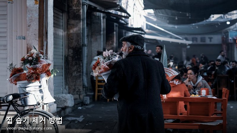집 습기 제거 방법