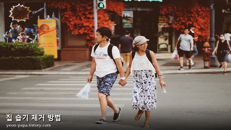 집 습기 제거 방법