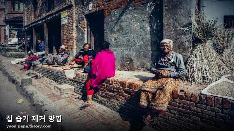 블로그 이미지