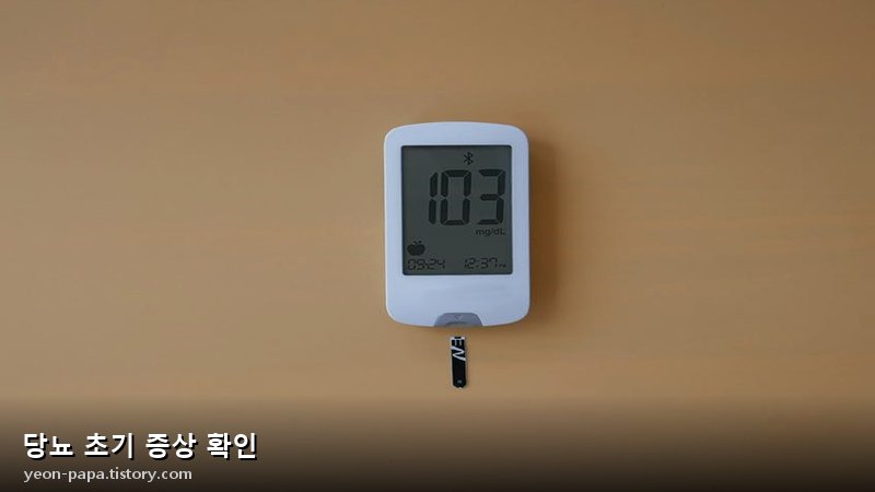 당뇨 초기 증상 확인