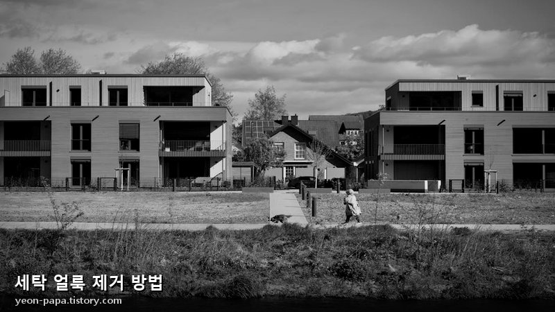 세탁 얼룩 제거 방법