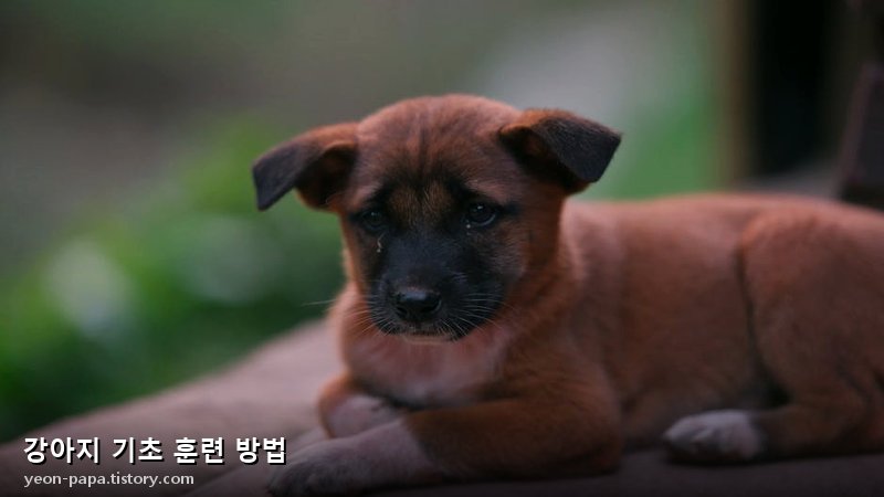 블로그 이미지