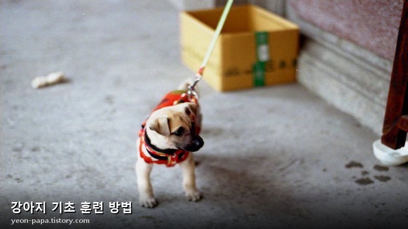 블로그 이미지