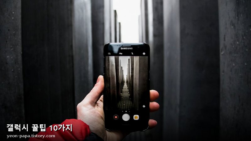 블로그 이미지