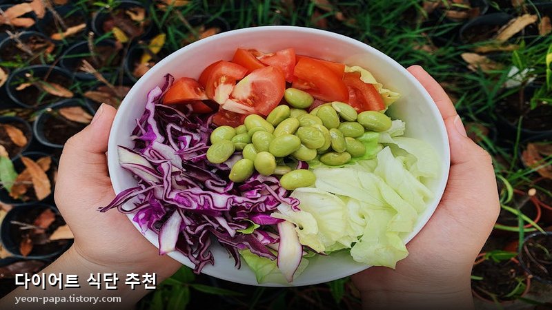 다이어트 식단 추천
