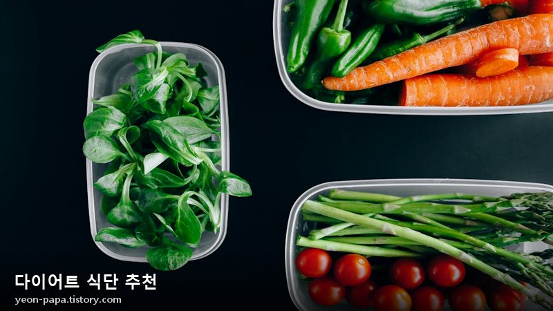 다이어트 식단 추천
