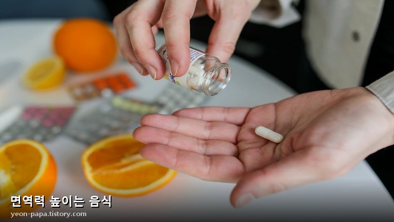면역력 높이는 음식