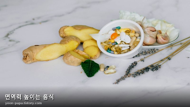 면역력 높이는 음식