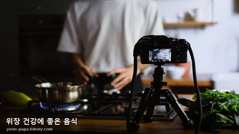 위장 건강에 좋은 음식