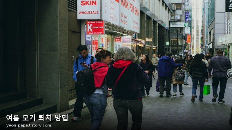여름 모기 퇴치 방법