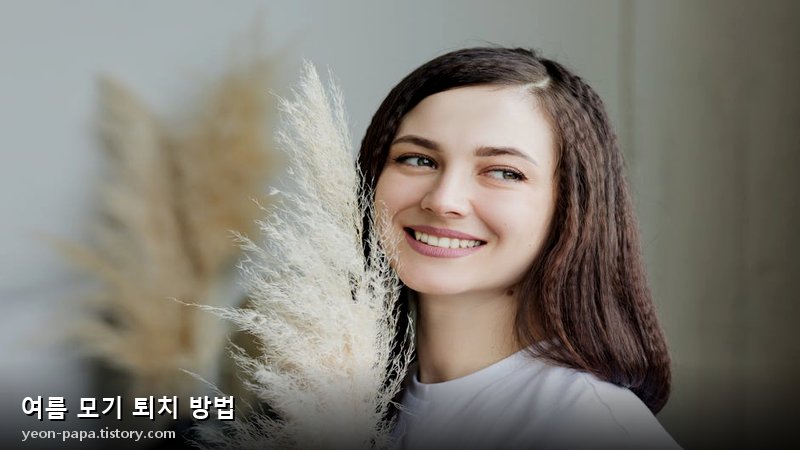블로그 이미지