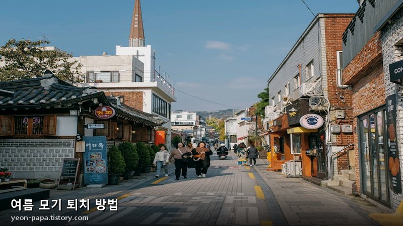 블로그 이미지