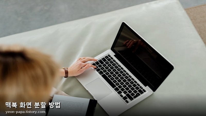 블로그 이미지
