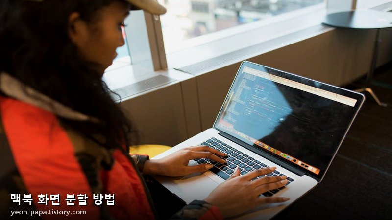 블로그 이미지