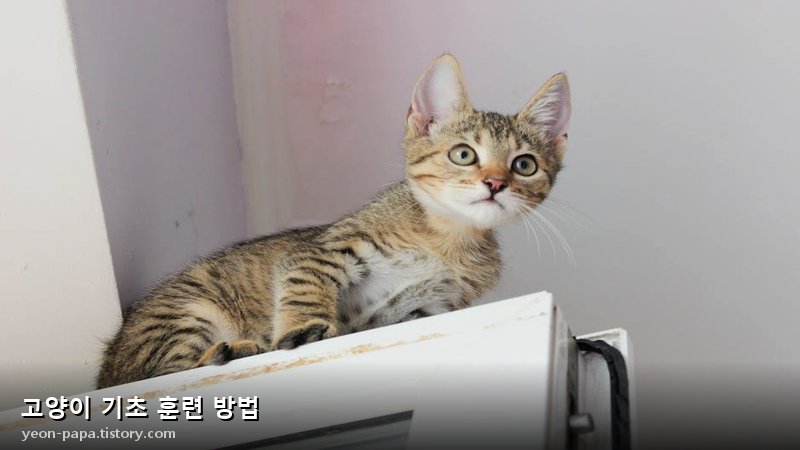 블로그 이미지