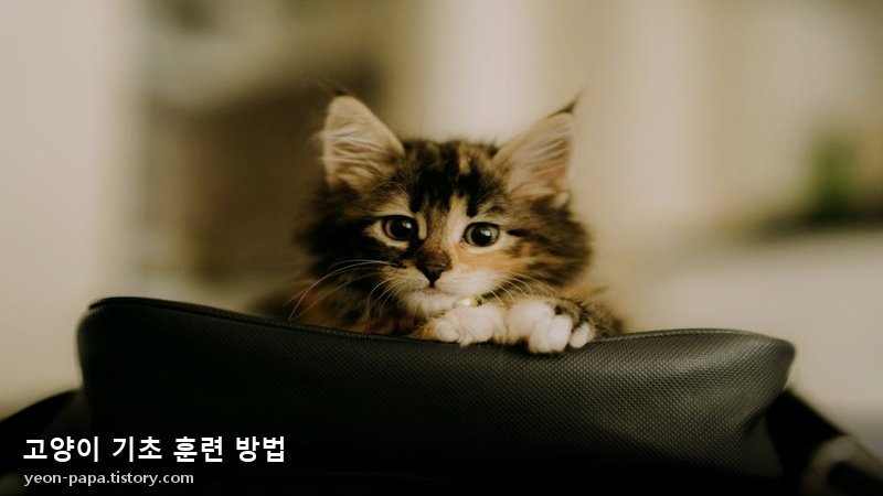 블로그 이미지