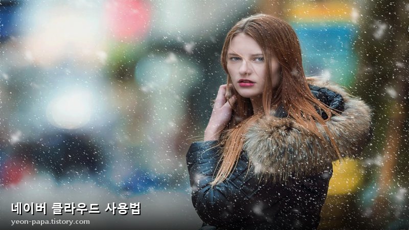 블로그 이미지